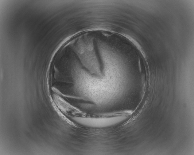 X0000082940949200702152210