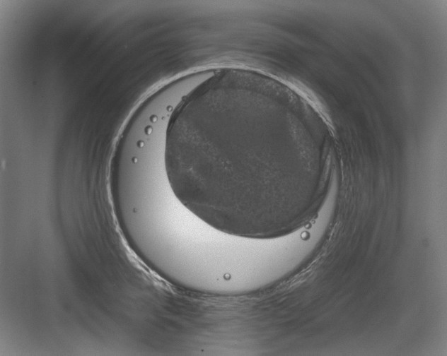 X0000082940950200702152210