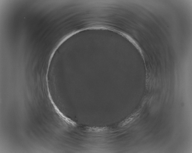 X0000082940951200702152210