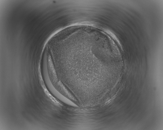 X0000082940952200702152210