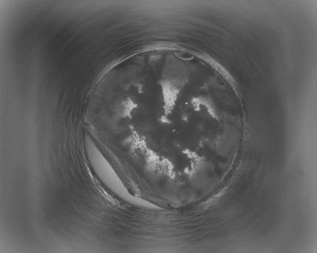 X0000082940953200702152210