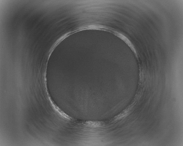 X0000082940954200702152210