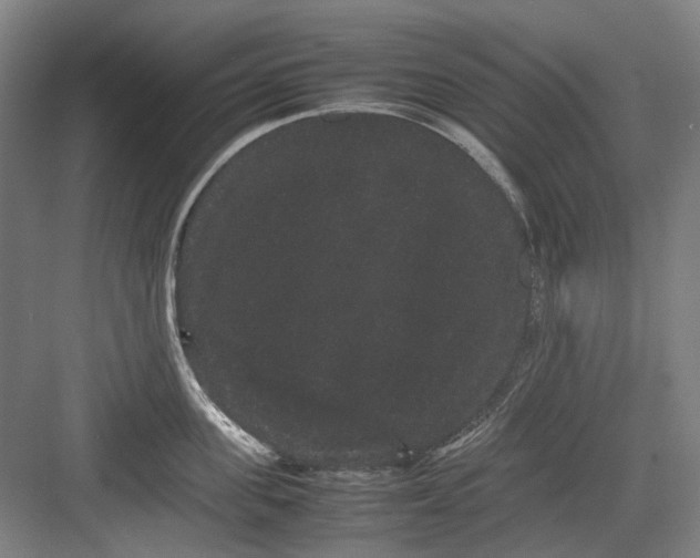 X0000082940955200702152210