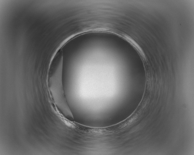 X0000082940956200702152210