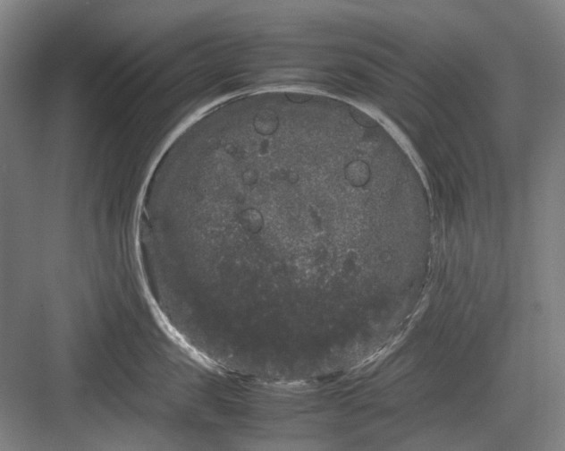 X0000082940957200702152210