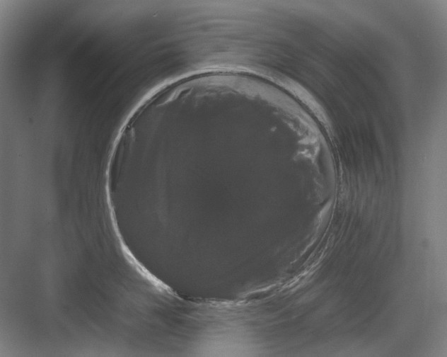 X0000082940958200702152210