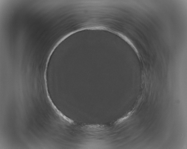 X0000082940959200702152210