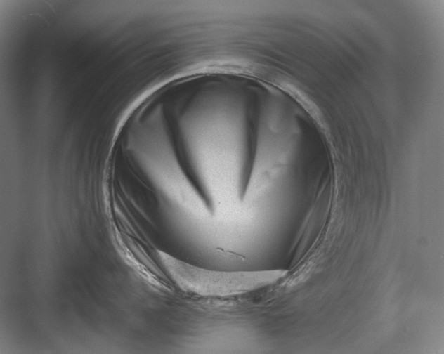 X0000082940960200702152210