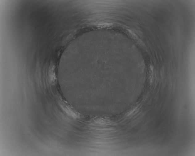 X0000082940962200702152210