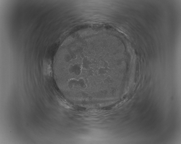 X0000082940963200702152210