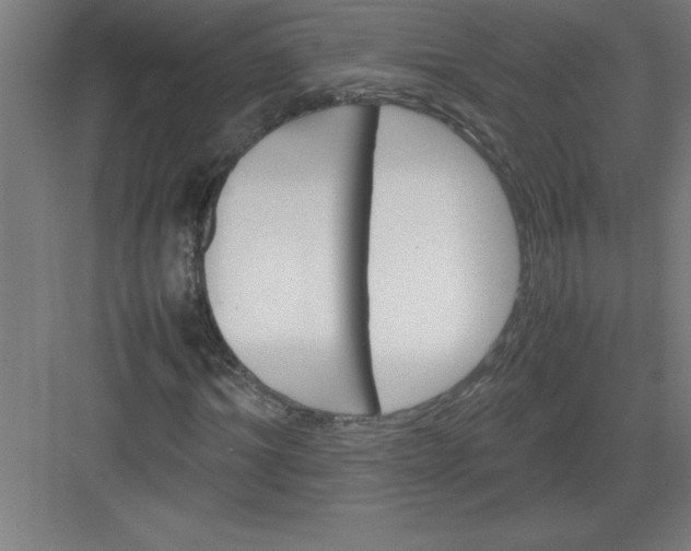 X0000082940964200702152210