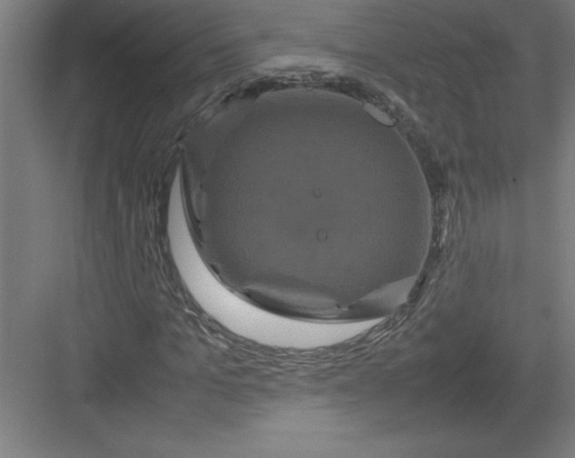 X0000082940965200702152210