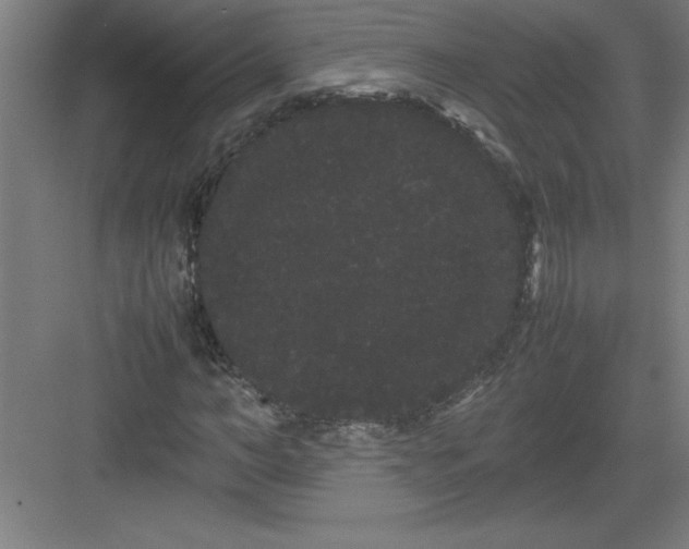 X0000082940966200702152210