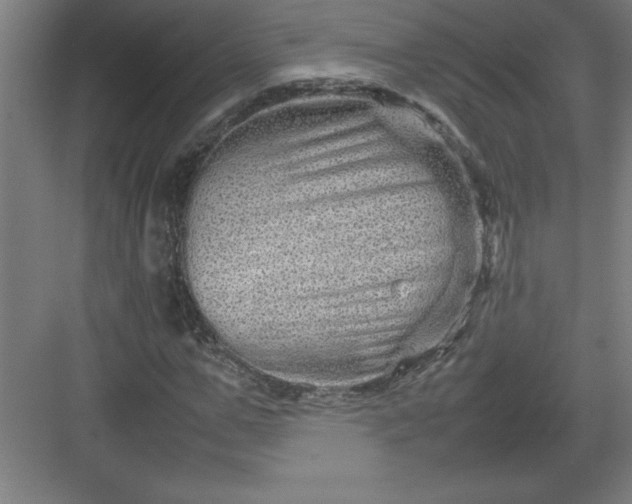 X0000082940967200702152210