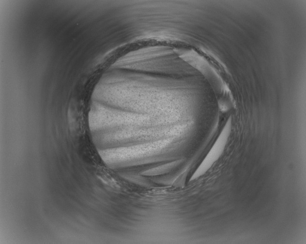 X0000082940968200702152210