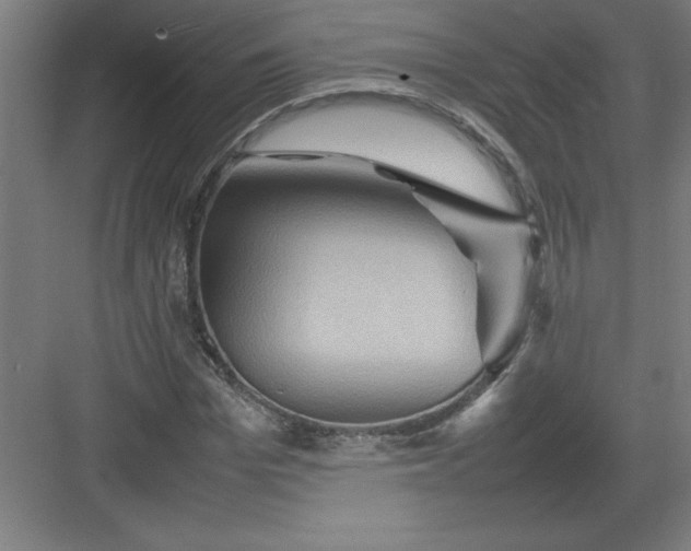 X0000082940969200702152210