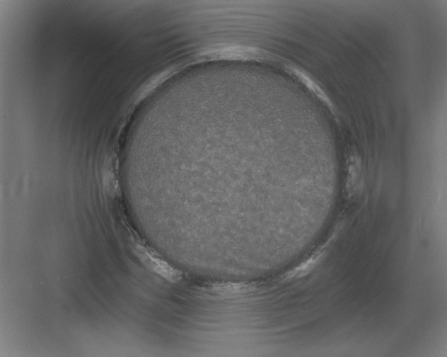 X0000082940970200702152209