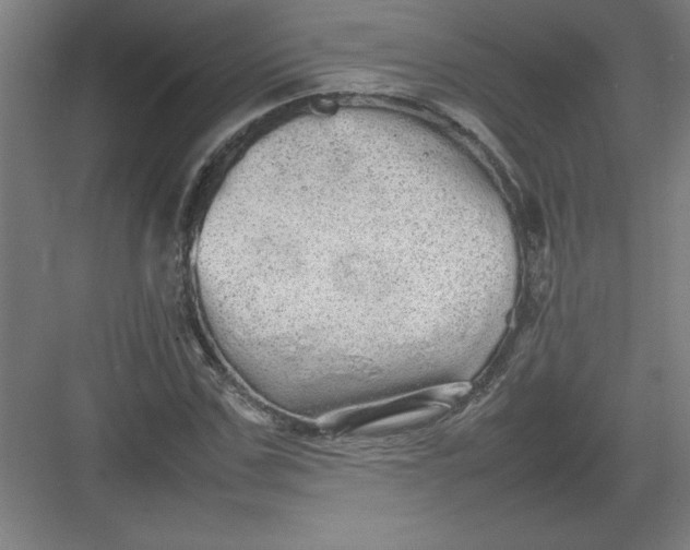 X0000082940971200702152209