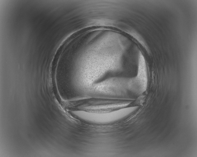 X0000082940972200702152209