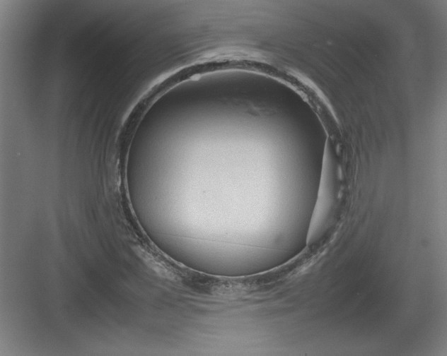 X0000082940973200702152209