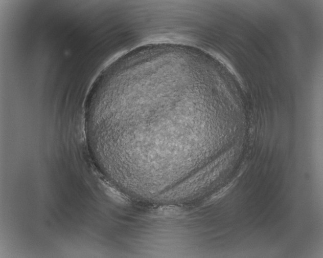 X0000082940974200702152209