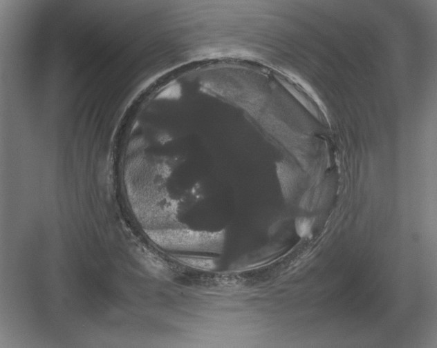 X0000082940975200702152209