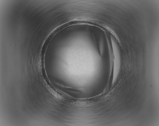 X0000082940976200702152209