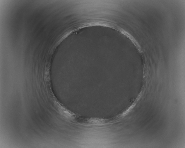 X0000082940977200702152209