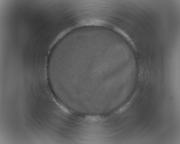 X0000082940978200702152209