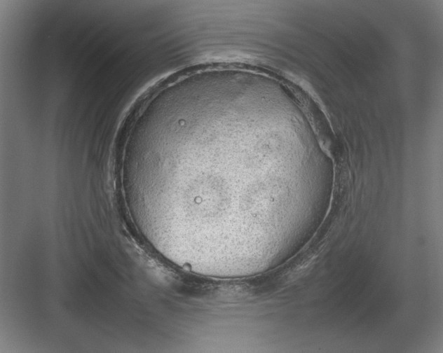 X0000082940979200702152209