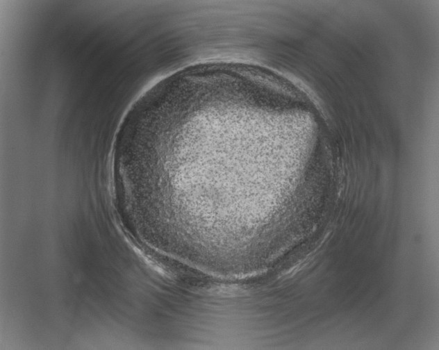 X0000082940982200702152209