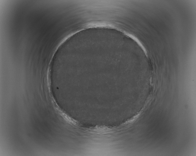 X0000082940983200702152209