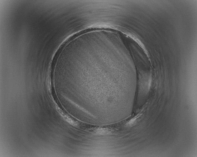 X0000082940984200702152209