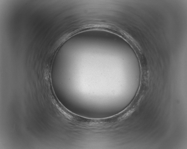 X0000082940985200702152209