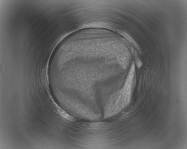 X0000082940988200702152209