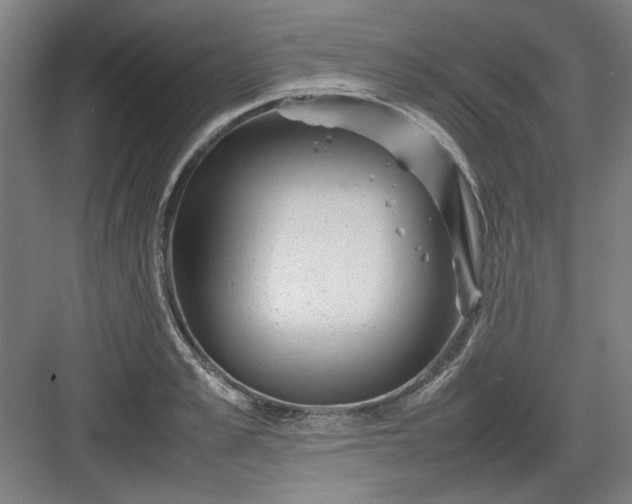 X0000082940989200702152209