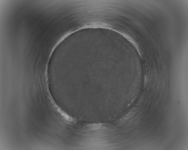 X0000082940990200702152209