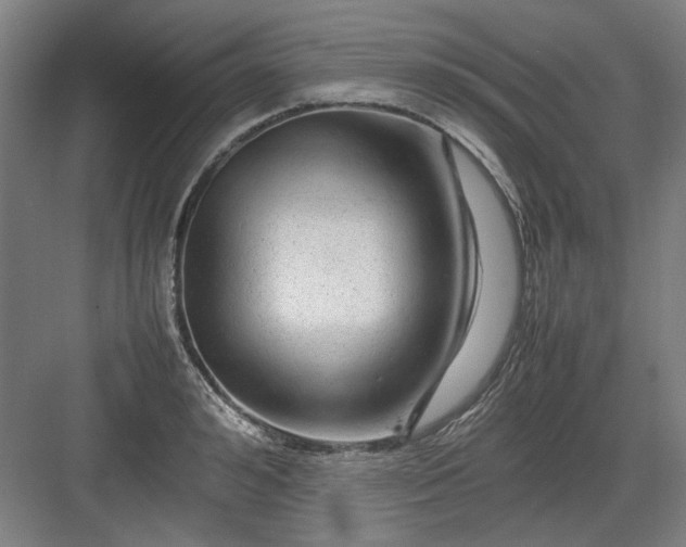 X0000082940992200702152209