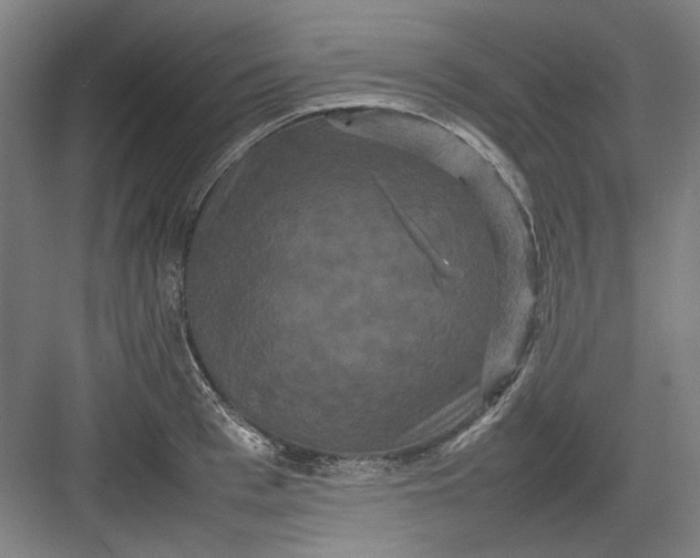 X0000082940993200702152209