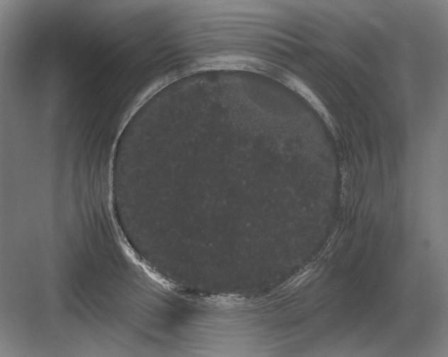 X0000082940994200702152209