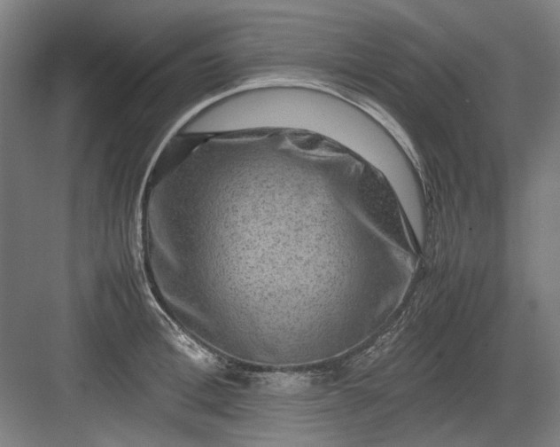 X0000082940996200702152209