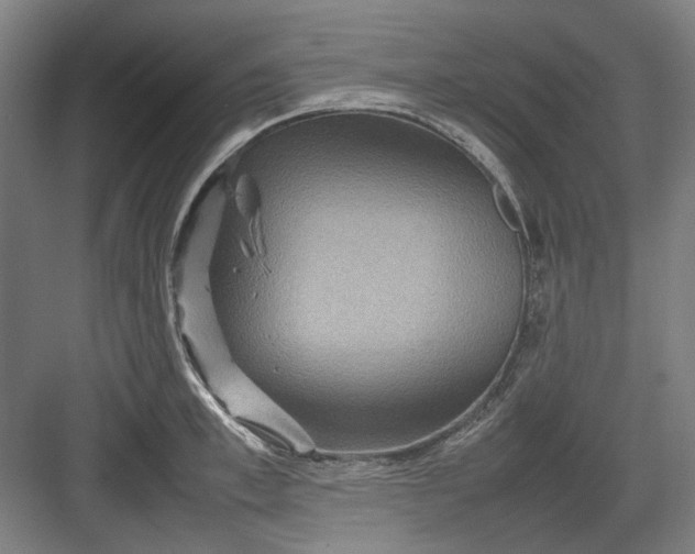 X0000082940997200702152209