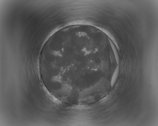 X0000082940998200702152209