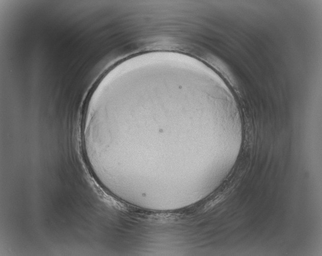 X0000082941000200702152209