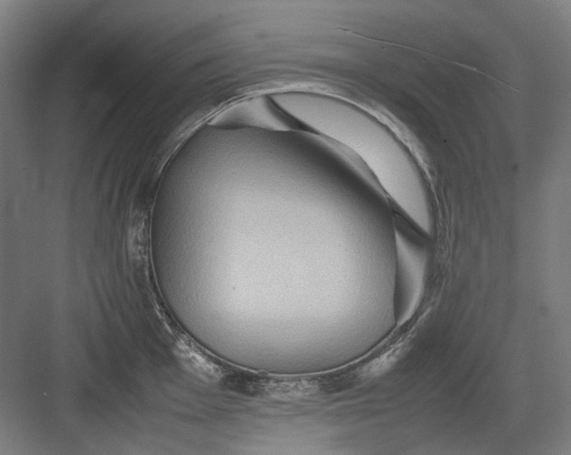 X0000082941001200702152209