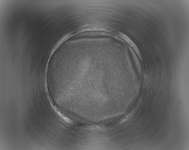 X0000082941002200702152209