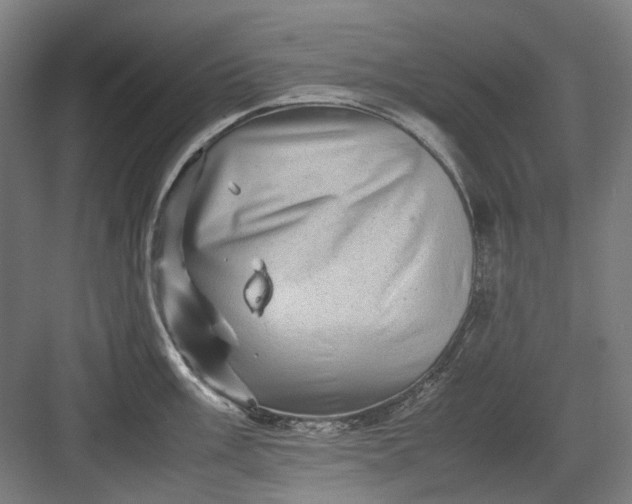 X0000082941003200702152209