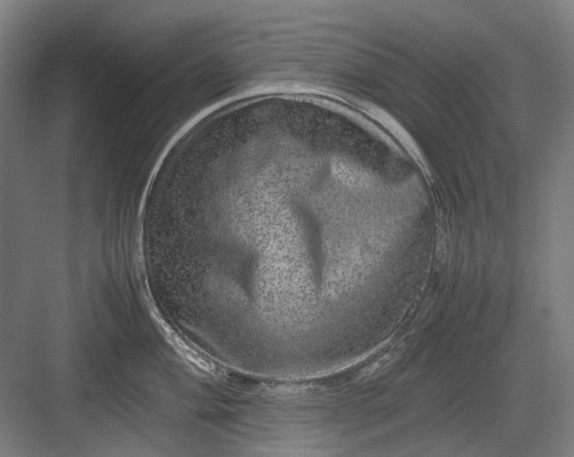 X0000082941004200702152209