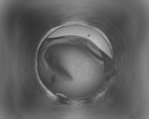 X0000082941005200702152209