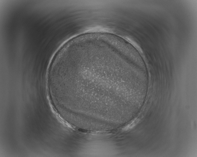 X0000082941008200702152209